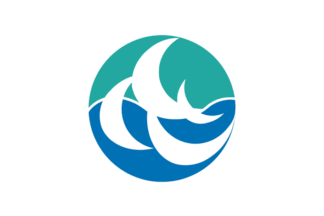 logo shunancity