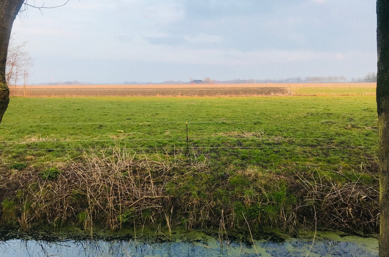 achtertuin%20geel%20groen%20web%20kopie